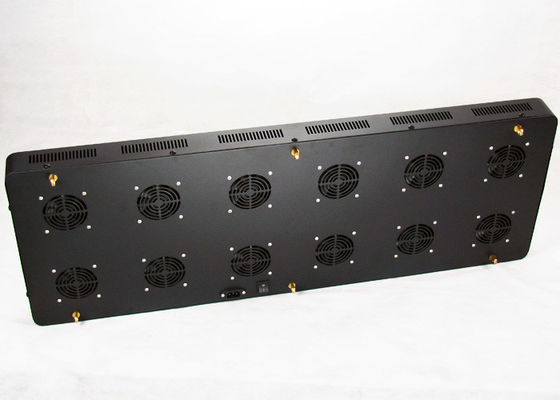 Weed 900W Indoor Light For Vegetative Growth Medical Cannabis Hemp M.J Grow Tent