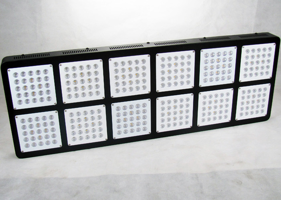 Weed 900W Indoor Light For Vegetative Growth Medical Cannabis Hemp M.J Grow Tent