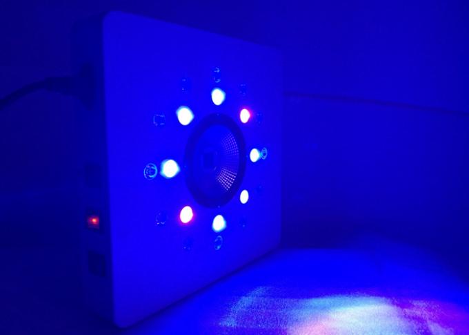 8leds 3w pelo conjunto estão trabalhando